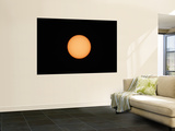 Sunspots on the Sun's Surface Wall Mural by Stocktrek Images 