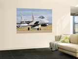 An F-15D Baz of the Israeli Air Force Wall Mural by Stocktrek Images 