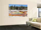 Chromatic Pool Hot Spring, Upper Geyser Basin Geothermal Area, Yellowstone National Park, Wyoming Wall Mural by Stocktrek Images 