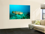 A Goliath Grouper Effortlessly Floats by a Shipwreck Off the Coast Key Largo, Florida Wall Mural by Stocktrek Images 
