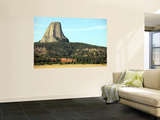 Devils Tower National Monument, Wyoming Wall Mural by Stocktrek Images 