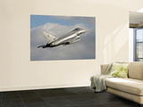 A Eurofighter 2000 Typhoon of the Italian Air Force Wall Mural by Stocktrek Images 