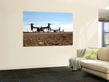 V-22 Osprey Tiltrotor Aircraft Arrive at Camp Bastion, Afghanistan Mural por Stocktrek Images V-22 Osprey Tiltrotor Aircraft Arrive at Camp Bastion, Afghanistan Mural por Stocktrek Images