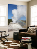 Castle Geyser Eruption, Upper Geyser Basin Geothermal Area, Yellowstone National Park, Wyoming Wall Mural by Stocktrek Images 