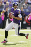 Bengals Ravens Football: Baltimore, MD - Joe Flacco Photographie par J. David Ake