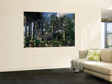 A Young Diplodocus Dinosaur Feeding in a Prehistoric Forest Wall Mural by Stocktrek Images 