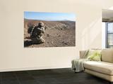 U.S. Army Soldier Provides Security for Infantry Patrolling Through Dandarh Village, Afghanistan Wall Mural by Stocktrek Images 