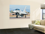 An Italian Air Force Eurofighter Typhoon at Grosseto Air Base, Italy Wall Mural by Stocktrek Images 