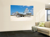 A Canadian Air Force F/A-18 Hornet Armed with Weapons Wall Mural by Stocktrek Images 