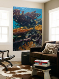Tropical Fish Take Refuge Amongst Elkhorn Coral Wall Mural by Stocktrek Images 