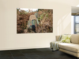 A British Army Sniper Team Dressed in Ghillie Suits Wall Mural by Stocktrek Images 