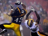 Steelers Redskins Football: Landover, MD - Troy Polamalu Photographic Print by Susan Walsh