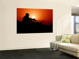 A U.S. Special Forces Soldier Armed with a Mk-12 Sniper Rifle at Sunset Wall Mural by Stocktrek Images 