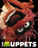 The Muppets-Animal Posters
