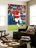 Browns Bears Football: Chicago, IL - Jay Cutler Wall Mural by Nam Y. Huh
