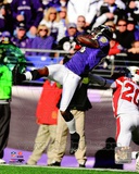 Anquan Boldin 2011 Action Photo