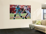 Panthers Buccaneers Football: Tampa, FL - Jonathan Stewart Wall Mural