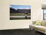 Bears Ravens Football: Baltimore, MD - Ray Lewis Wall Mural by Rob Carr 