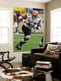 Browns Steelers Football: Pittsburgh, PA - Joshua Cribbs Wall Mural by Tom E. Puskar