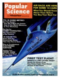 Front cover of Popular Science Magazine: November 1, 1973 Pósters Front cover of Popular Science Magazine: November 1, 1973 Pósters