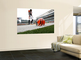 Steelers Bengals Football: Cincinnati, OH - Cedric Benson Wall Mural by Ed Reinke