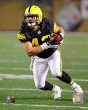 Troy Polamalu 2011 Action Photo