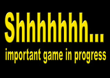 Shhh Important Game in Progress Cartel de chapa
