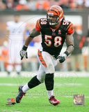Rey Maualuga 2011 Action Photo