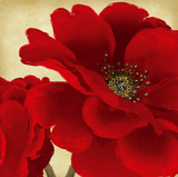 Red Peony I Prints by Linda Wood