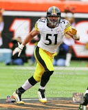 James Farrior 2011 Action Photo
