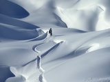 Snowboarder Riding in Powder Snow, Austria, Europe Fotografisk tryk af Ted Levine