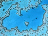 Aerial View of Great Barrier Reef Photographie par Theo Allofs