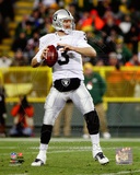 Carson Palmer 2011 Action Foto