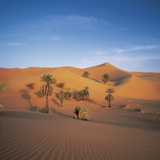 Palm Trees and Sand Dunes Fotoprint van José Fuste Raga Palm Trees and Sand Dunes Fotoprint van José Fuste Raga