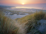 Budle, Misty Sunset Kunstdrucke von Joe Cornish