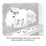 "First we find the bedbugs, Ma'am, then we drive tiny stakes through their…" - New Yorker Cartoon Premium Giclee Print by David Borchart