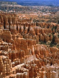 USA, Utah, Bryce Canyon Photographic Print by Ladislav Janicek