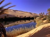 Oasis at Um Al Ma salt lake, Sahara desert, Ubari, Libya Photographic Print by Frans Lemmens