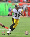 Hines Ward 2011 Action Photographie