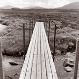 Wooden bridge over brook Photographic Print by Mika 