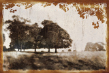 Tree Meadow II Print by Lucy Meadows