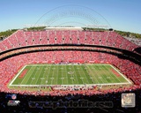 Arrowhead Stadium 2011 Foto