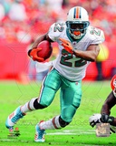 Reggie Bush 2011 Action Photo