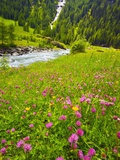 Beautiful Meadow with Stream Photographic Print by Frank Krahmer