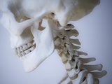 Skeleton head Photographic Print by Robert Llewellyn