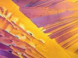 Oxalic Acid Crystals Lámina fotográfica Oxalic Acid Crystals Lámina fotográfica