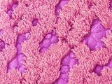 Trachea of a Rat Lámina fotográfica por Micro Discovery