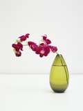 Orchid Flower in a Vase Fotografie-Druck von Estelle Klawitter