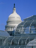 United States Botanic Garden Conservatory and Capitol, Washington DC, USA Photographic Print by Murat Taner