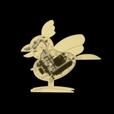 X-Ray of Toy Rooster Photographic Print